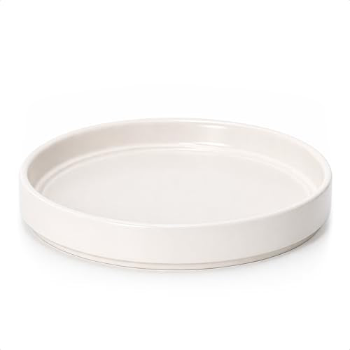 D'vine Dev Ceramic Plant Saucer/Drainage Tray, 10.4 in, Oatmeal, 97-T-D-5 - color: Oatmeal, size: 10.4" (1 Pack)