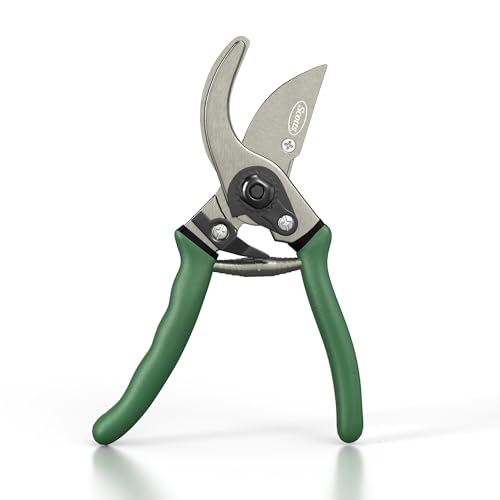 Scotts 8 in. Bypass Pruning Shears – 1/2 in. Cutting Capacity; Gardening Hand Pruner with Sharp Carbon Steel Blade and Non-Slip Grip – Lightweight Garden Tool for Live Plants and Soft Stems - style: Bypass Pruner