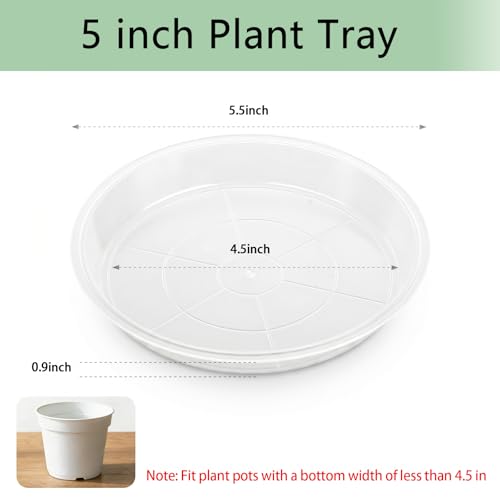 6Pack Plant Saucer, 3 5 7 9 11 13 15 17 19 21 in Plastic Plant Tray - size: 5 Inch
