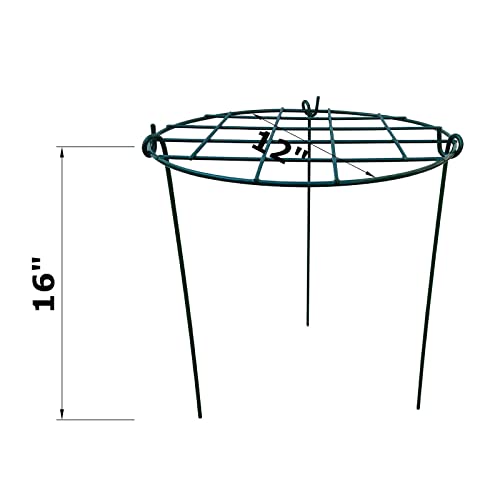 5 Pack 12 x 16 inch Poeny Cage Grow Through Grid Plant Brace Flower Support Rings,Round Metal Plant Stakes Rings, Strong Large Garden Supports for Flowers, Peonies, Rose, Lily - size: 12"x16" Pack of 5