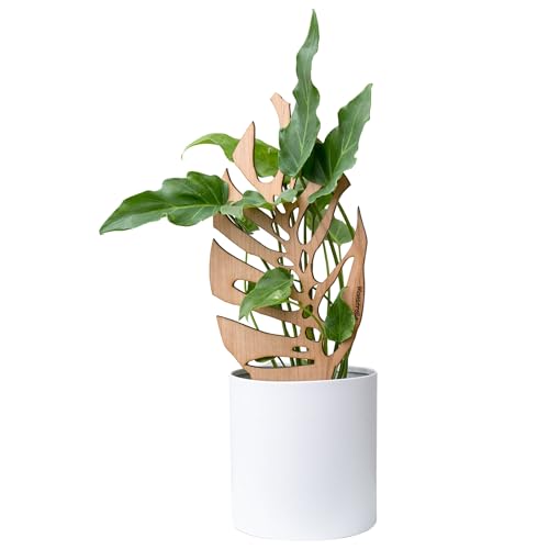 Treleaf Bare™ Monstrella™ – Customizable Wooden Monstera Leaf Plant Trellis – Regular Size 12” Indoor Plant Support and Decorative Houseplant Stake for Potted Climbing Plants - size: Regular - 12" tall, style: Monstrella