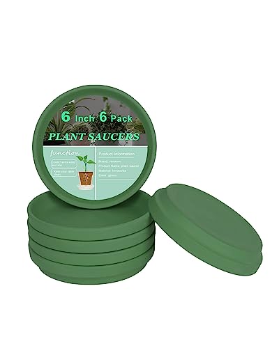 vensovo 6 Inch Green Terracotta Plant Saucers, 6 Pack Small Clay Trays - color: Green, size: 6 inch