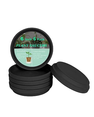 vensovo 6 Inch Black Terracotta Plant Saucers, 6 Pack Small Clay Trays - color: Black, size: 6 inch