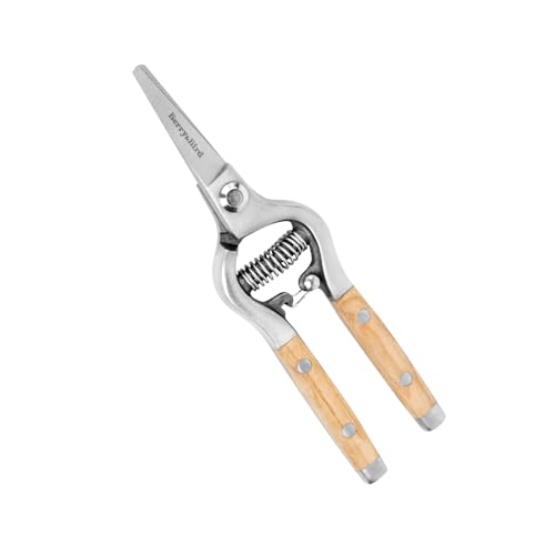 Berry&Bird Straight Pruning Shears with Stainless Steel Blades Garden Hand Pruner 8'' Scissors with Wooden Handle Clippers for Gardening Trimming Cutting Bonsai - style: 8'' Straight Blade Scissors
