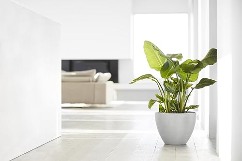 Ecopots Antwerp Round Tapered Flower Planter, White Grey, 16" - color: White Grey, size: 16"