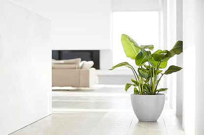 Ecopots Antwerp Round Tapered Flower Planter, White Grey, 16" - color: White Grey, size: 16"