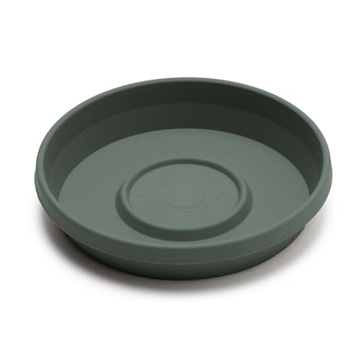 Bloem Terra Plastic Saucer Tray for 12" Terra Planters, UV-Resistant, Basil - color: Basil, size: 12"