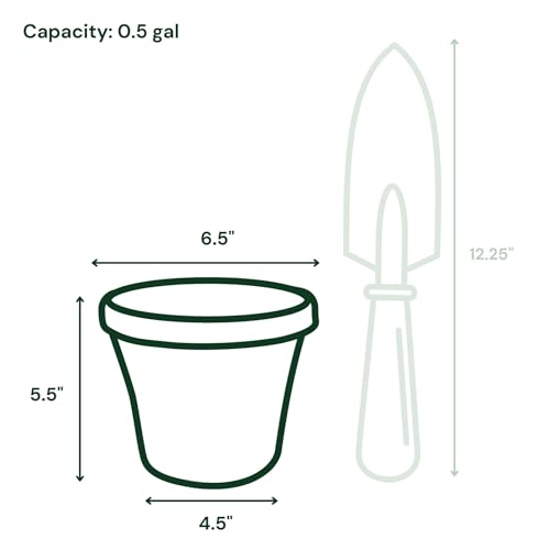 Bloem Terra 6" Plastic Planter, 0.5 Gallon, Navy, 10-Pack - color: Navy, size: 6" (Pack of 10)