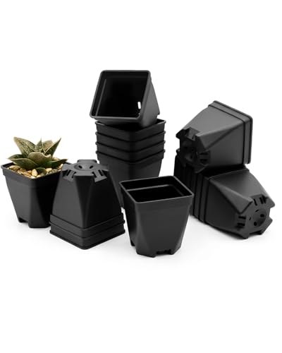 1.5-Inch Nursery Pots, Thick-Walled PP Plastic, for Home, Office & Garden, Seed Starting & Propagation (48, Black) - color: Black