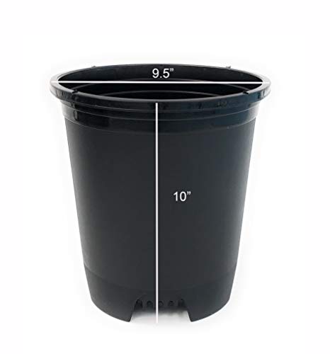 3 Gallon 10-Pack Nursery Pot Black Plastic Planters for Outdoor Indoor Plants Gardening Flower Pots Plant Pots with Drainage Holes - color: Black, size: 10-Pack 3 Gal