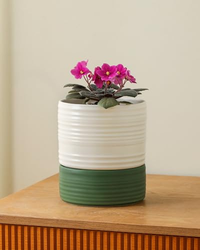 Fayoula Self Watering Pots for Indoor Plants, 6 Inch Ceramic Self Watering Plant Pot, Planter Pot with Wick Rope and Drainage Hole for African Violet Succulent Herbs (White Matte) - color: White Matte