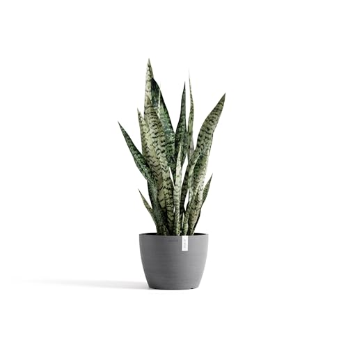 Ecopots Stockholm Round Flower Planter, Grey, 9.5" - color: Gray, size: 9.5"