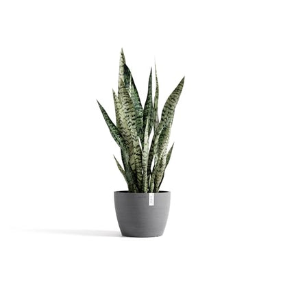Ecopots Stockholm Round Flower Planter, Grey, 9.5" - color: Gray, size: 9.5"