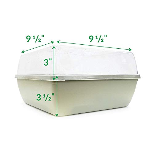 Jiffy Seed Starter Tray Kit, Self-Watering, Seedling Tray, 2 Pack - size: 2 Pack