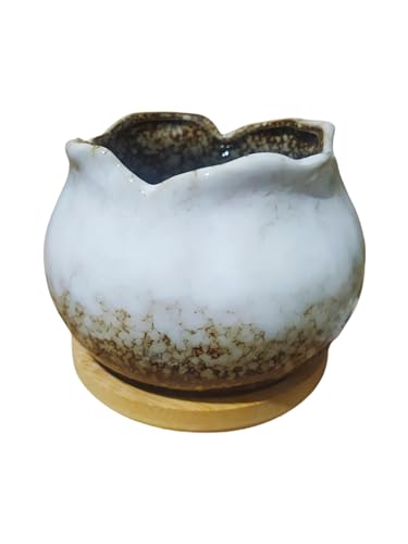 Cute 4" Round Ceramic Home Garden Decoration Succulent Cactus Flower Pots Container -Plant Not Included，White - color: White