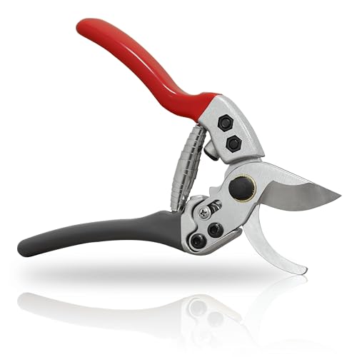 Gardzen 8" Bypass Prunning Shear Garden Scissors