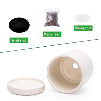 D'vine Dev 2-Pack Ceramic Pots with Saucers, Oatmeal, 3.5 in, 94-V-A-8 - color: Oatmeal, size: 3.5 Inch