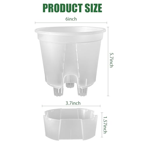 Cdd's Path 5-Pack 6 Inch Self Watering Naked Root Planter Pots with Drainage Holes & Reservoir, Plastic Planters with Air Pipes for Indoor Outdoor Plants，Clear - size: 6 inch-5 Pack