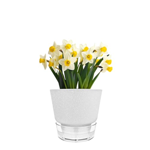 2024 Upgraded 5 Pack 6-Inch Self-Watering Planter Pots with Deep Reservoir for Indoor and Outdoor Plants with Planting Tools (Frosted White) - color: Frosted White