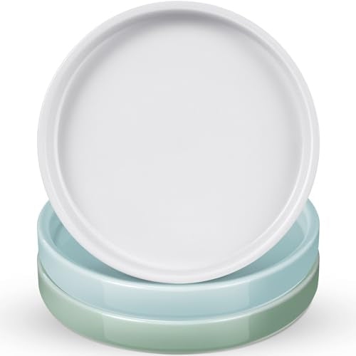 Zubebe 3 Pcs 7 Inch Ceramic Plant Saucers Round Plant Pot Water Trays - size: 7 Inch