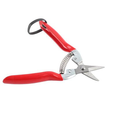 Professional Garden Pruning Shears for Roses and Flowers, Curved Blade Stainless Steel Hand Pruners, Heavy Duty Plant Trimming Scissors for Fruit Harvesting and Flower Arranging