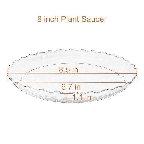 6 Pack Plant Saucer 8 inch, Heavy Duty Plastic Plant Water Tray, Planter Saucers, Flower Pot Tray Water Trays for Plant Pots (Terracotta) - color: Terracotta, size: 8" (6 pack)