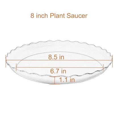 6 Pack Plant Saucer 8 inch, Heavy Duty Plastic Plant Water Tray, Planter Saucers, Flower Pot Tray Water Trays for Plant Pots (Blue) - color: Blue, size: 8" (6 pack)