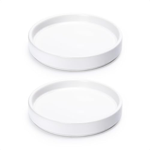 D'vine Dev 2-Pack Ceramic Plant Saucers, 5.4 in, White, 97-T-A-22 - color: White, size: 5.4" (2 Pack)