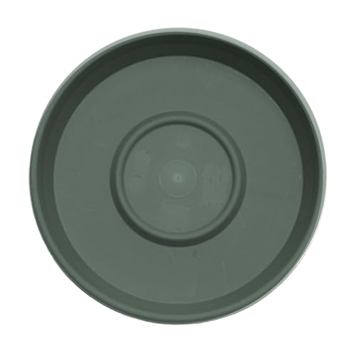 Bloem Terra Plastic Saucer Tray for 12" Terra Planters, UV-Resistant, Basil - color: Basil, size: 12"