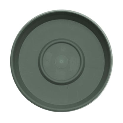 Bloem Terra Plastic Saucer Tray for 12" Terra Planters, UV-Resistant, Basil - color: Basil, size: 12"