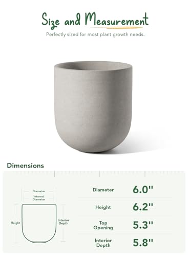 LE TAUCI 6 Inch Ceramic Plant Pot, Small Indoor Planter, Neutral Gray - color: Neutral Gray, size: 6”