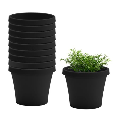 Bloem Terra 6" Plastic Planter, 0.5 Gallon, Black, 10-Pack - color: Black, size: 6" (Pack of 10)