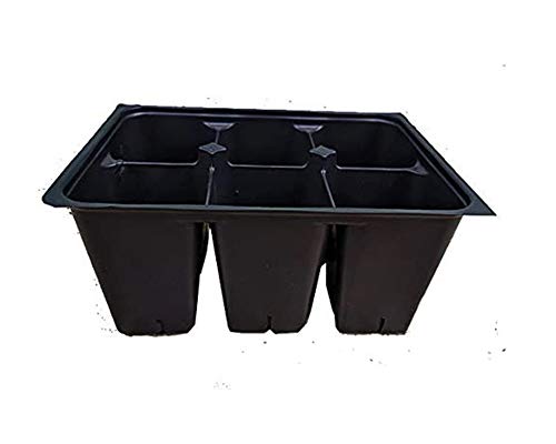 300 DEEP Extra Large Cells Seed Starter (50 Trays of 6 Cells Each)