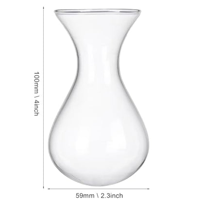 Plant Propagation Station Accessories, 2 Pack Glass Hyacinth vase