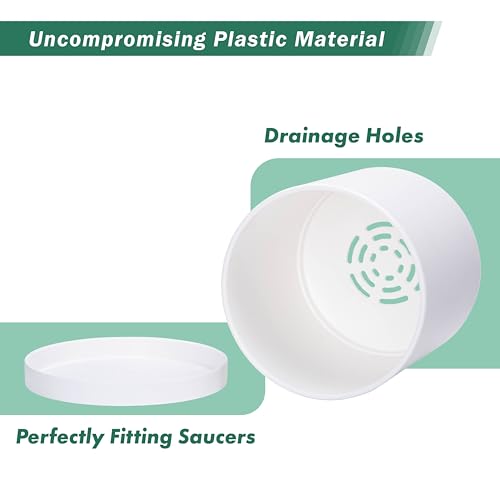 D'vine Dev Plastic Planter Pot with Saucer, 12 in, White, 74-X-A-3 - color: Matte White, size: 12 Inch