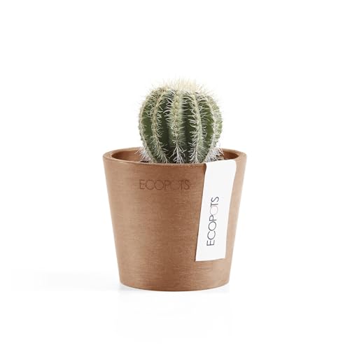 Ecopots Amsterdam Mini Round Flower Planter, Terracotta Color, 3" - color: Terracotta, size: 3 Inches