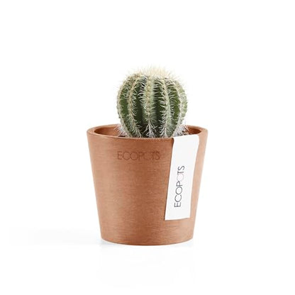 Ecopots Amsterdam Mini Round Flower Planter, Terracotta Color, 3" - color: Terracotta, size: 3 Inches