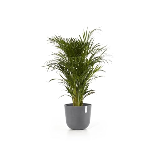 Ecopots Oslo Round Flower Planter, Grey, 14" - color: Gray, size: 14"