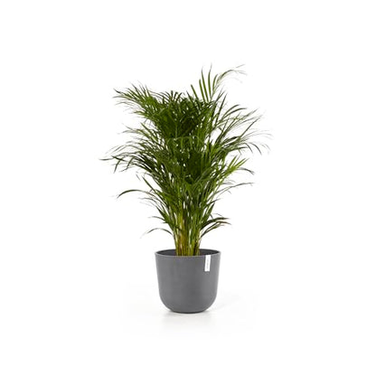 Ecopots Oslo Round Flower Planter, Grey, 14" - color: Gray, size: 14"