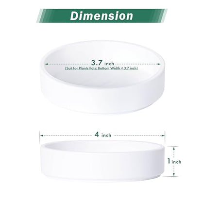 Phoenix Vine 4 Inch Plastic Plant Saucer Water Drip Tray, Heavy Sturdy Round Plant Drainage Tray for Indoors Outdoor, Matte White, 21-TY-4W-1 - size: 4"