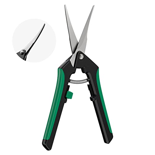 6.5 Inch Gardening Scissors Hand Pruner Pruning Shear with Stainless Steel Precision Blades Multiple Packs (Curved-1pc)