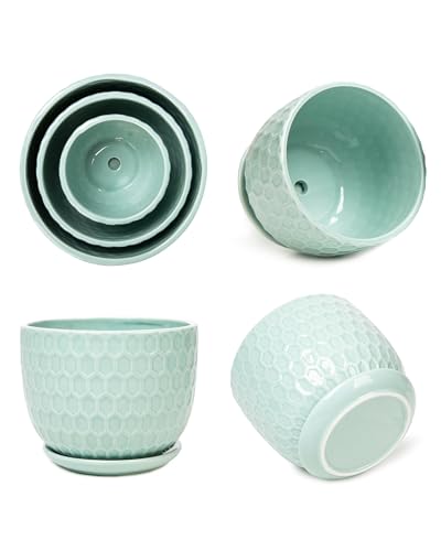 Ceramic Flower Pots with Drainage Hole and Saucer, Modern Round Succulent Planters with Honeycomb Inspired Texture Design, Small to Medium Sized, Set of 3, Green - size: 6.4"+5.2"+3.7" - Set of 3, style: Honeycomb