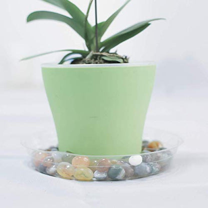 TRUEDAYS 6 Inch 5 Pack Clear Plant Saucers Flower Pot Tray Excellent for Indoor & Outdoor Plants - size: 5-Pack (6'' Only)