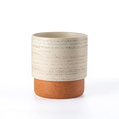 6 Inch Ceramic Self Watering Planter with Drainage Hole, Brush - color: Brush, size: Small