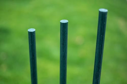 Garden Stakes 5/16" Dia, 5 FT FRP Plant Supporting Stakes for Climbing Tomato Cucumber Strawberry Bean Tree, Pack of 20, Dark Green - size: 5/16"Dia x 5Ft Height(20 packs)