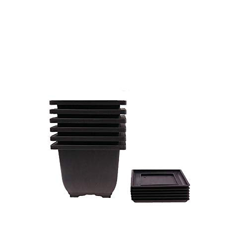 MUZHI 6PCS/Pack Retro Style Deep Square Small Bonsai Training Pots with Tray, Mini Plastic Mocha Garden Flower Pot 5" - size: 6pcs small deep square 5"