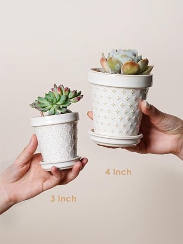 LE TAUCI Ceramic Succulent Pots, 4 Inch Small Plant Pot for Indoor Plant Cactus, Embossed Flower Pots with Drainage Hole & Saucer - Set of 4, Arctic White - size: 4 inch