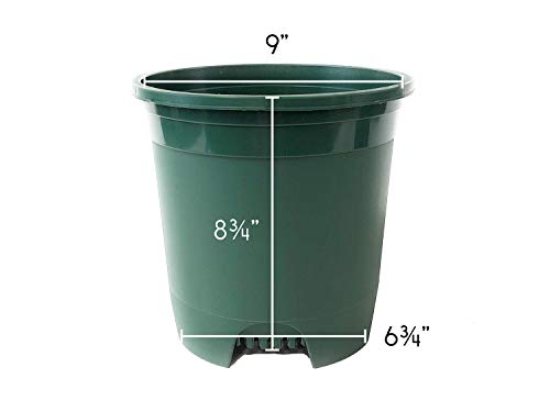 Cotta Planters 2 Gallon Green Nursery Pot Plastic 6-Pack Planter Pots Pot Liners for Outdoor Indoor Plants Gardening Flower Pots with Drainage Holes - color: Green, size: 6-Pack 2 Gal