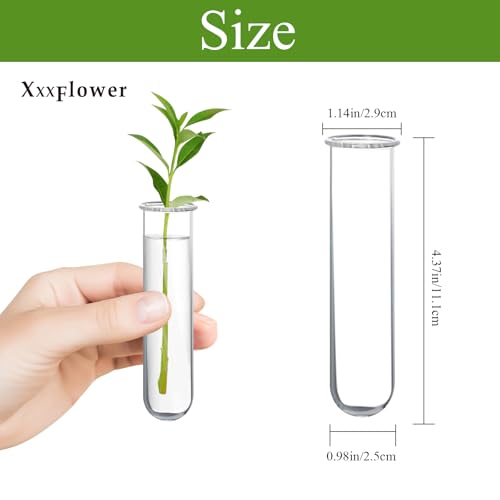 XXXFLOWER Glass Propagation Stations Accessories 4 Tube Vases - size: Size B