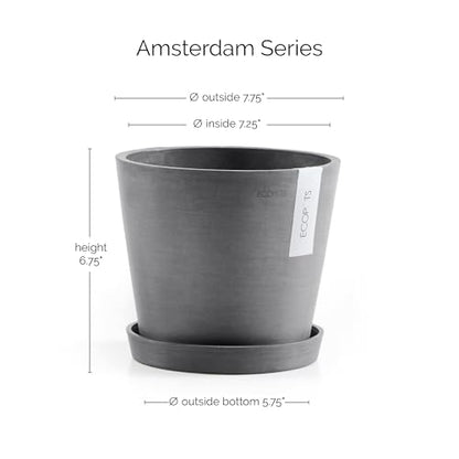 Ecopots Amsterdam Round Flower Planter with Water Reservoir, Grey, 8" - color: Gray, size: 8 inches